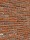 Aspen HV WF / RC201 Rijswaard